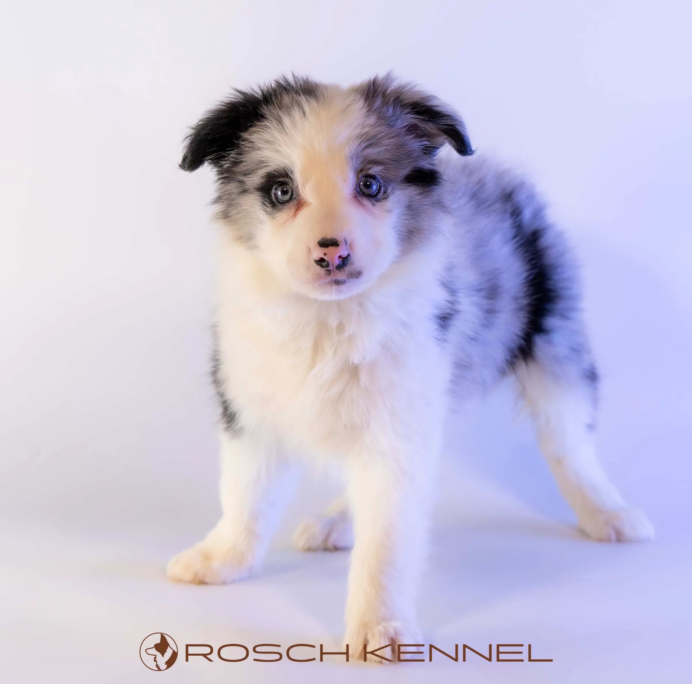 CNE304CPR - Photo 11