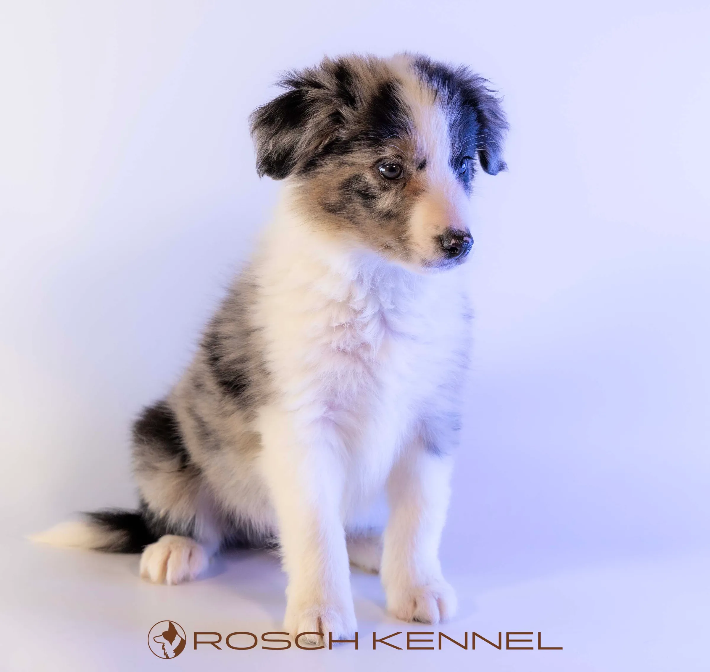 CNE302CPR - Photo 13