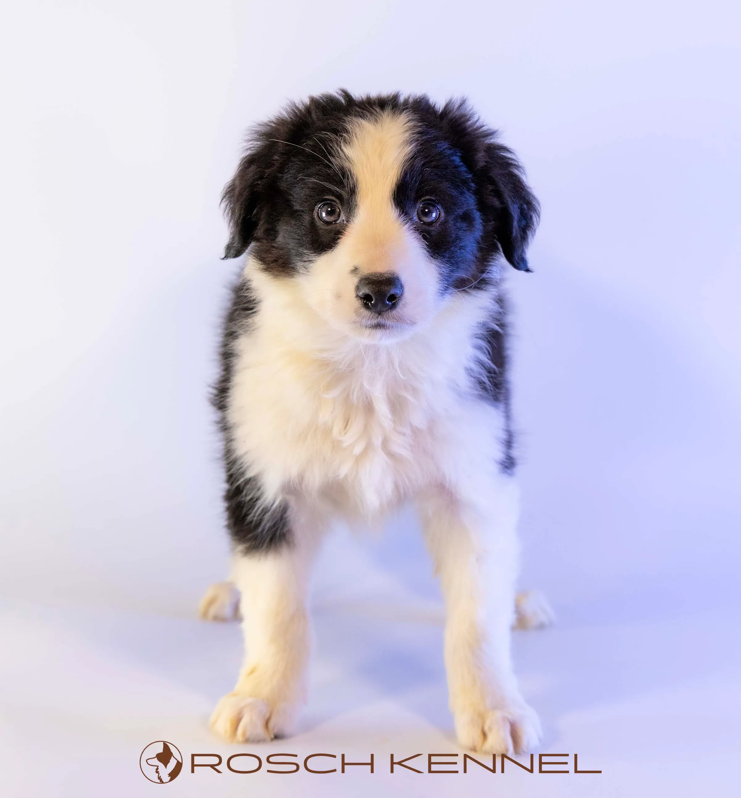 CNE301CPR - Photo 14