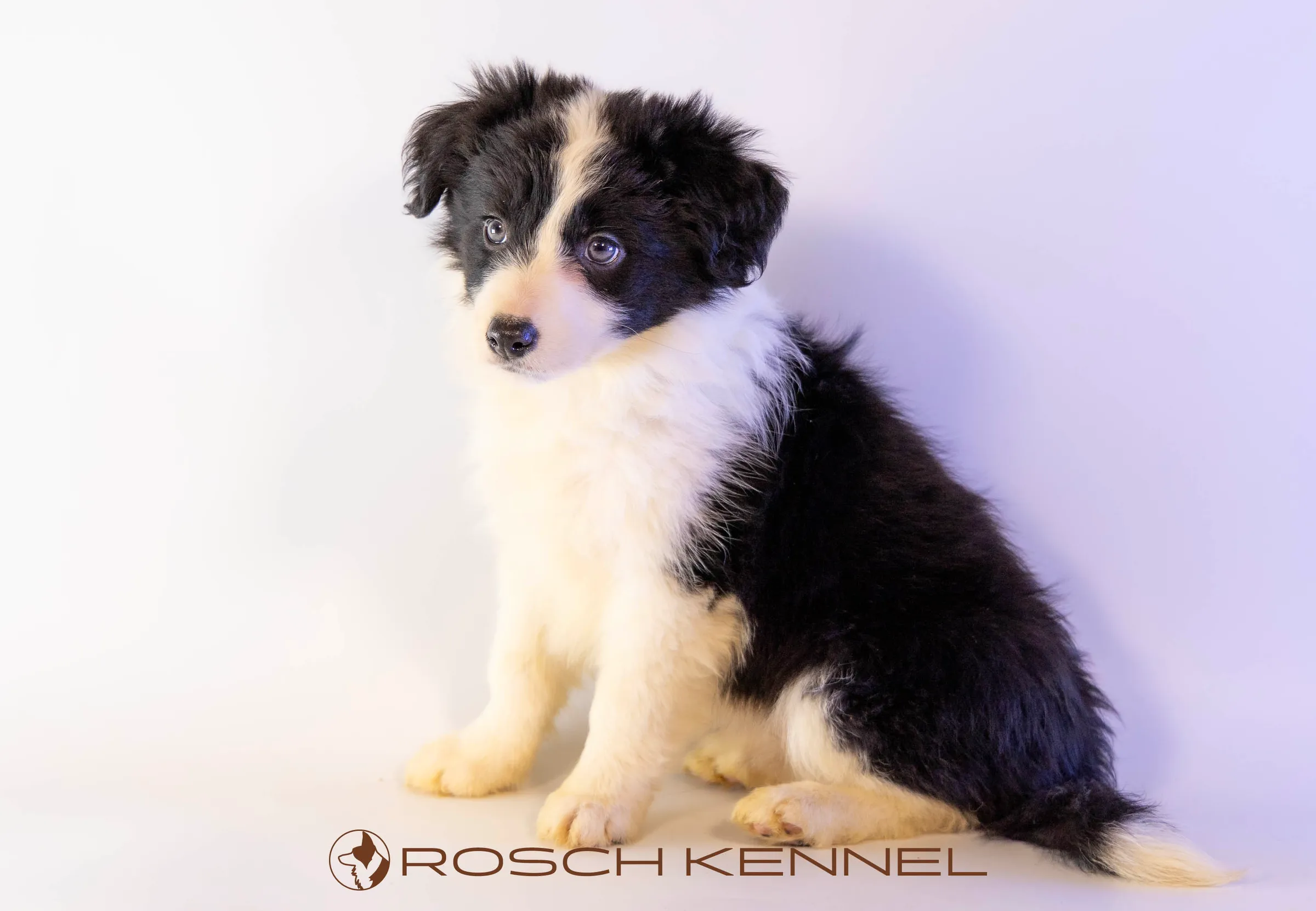 CNE305CPR - Photo 17