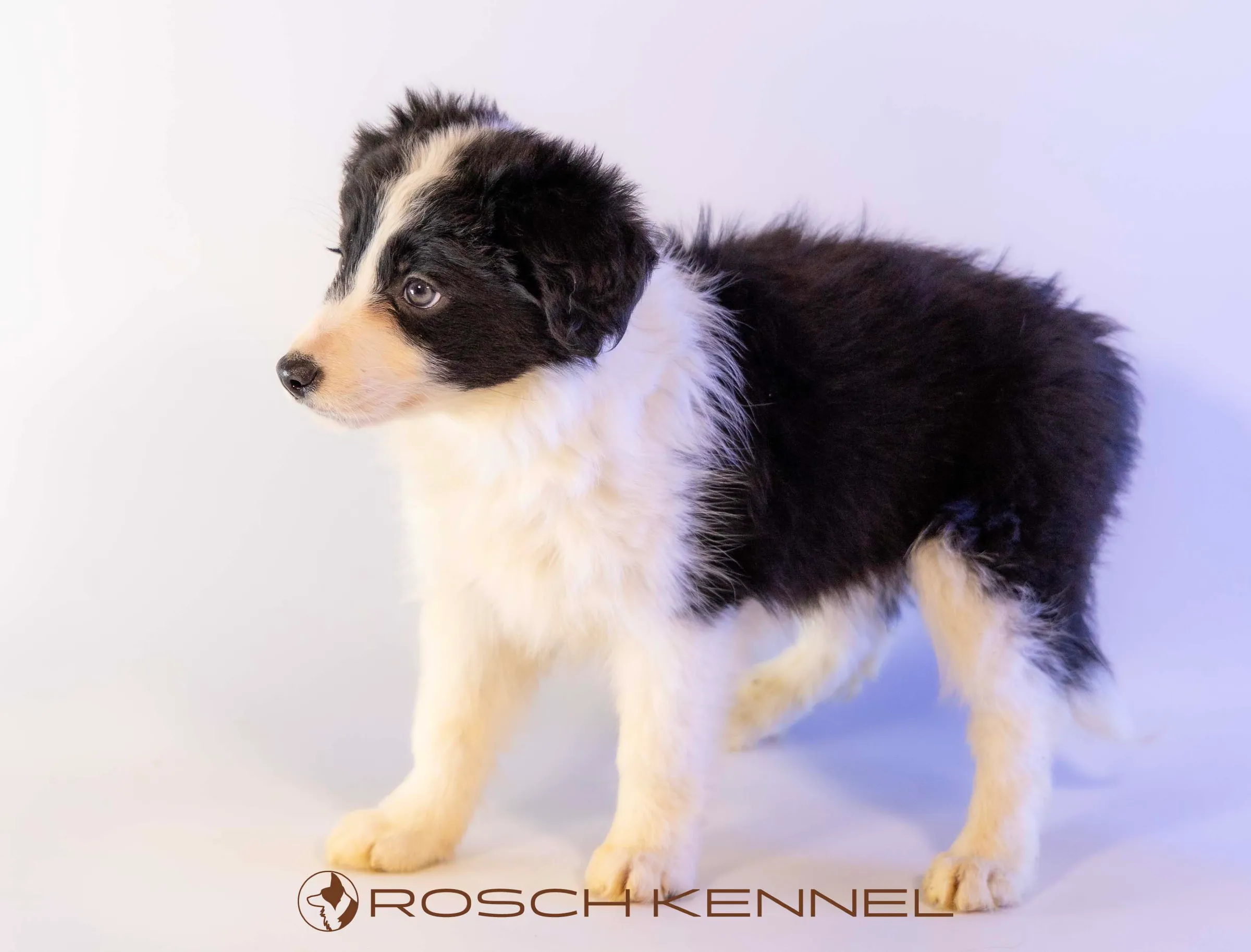 CNE305CPR - Photo 22