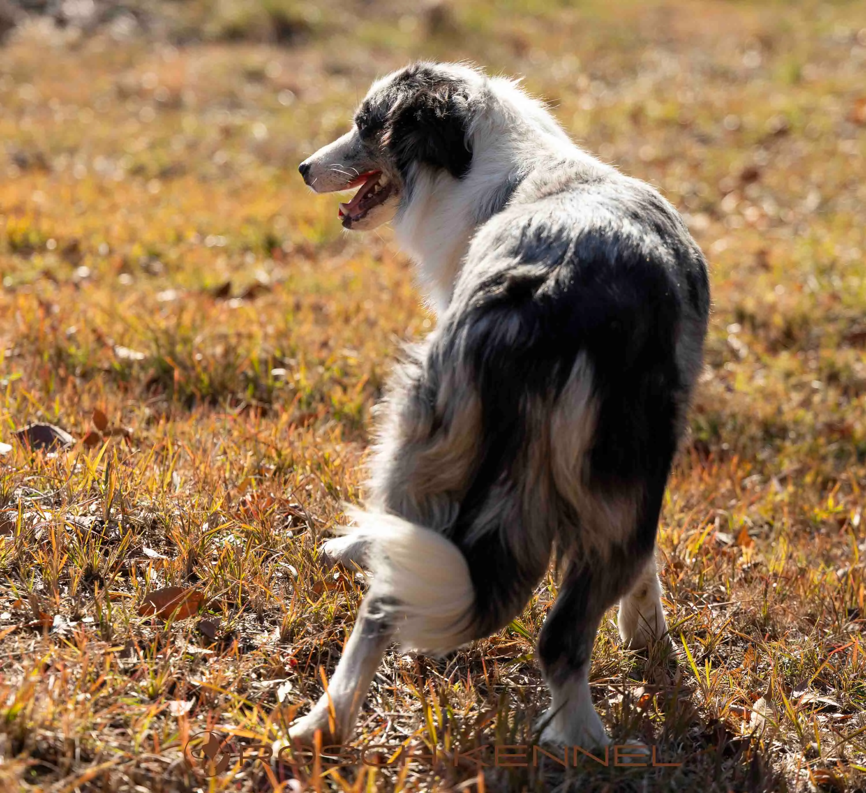 Connie - Photo 5